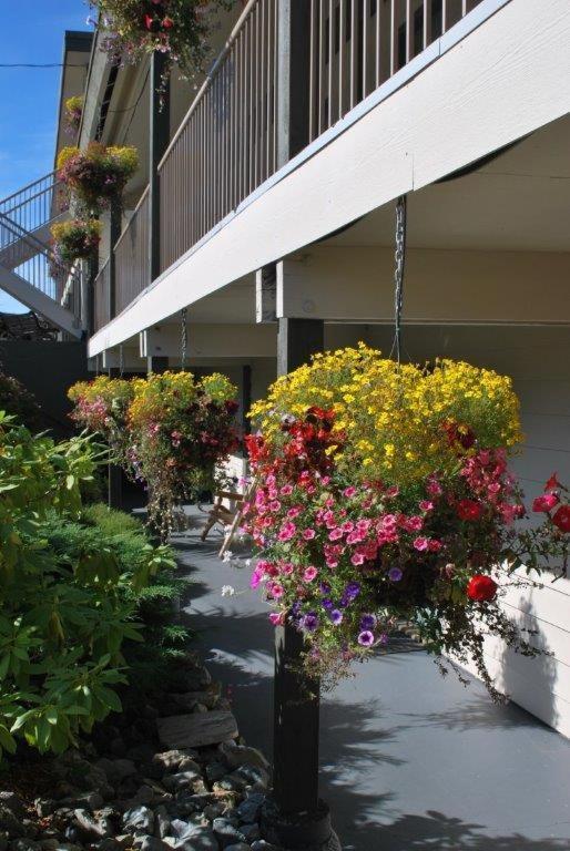 Pacific Rim Motel Ucluelet Buitenkant foto